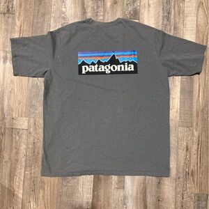 Patagonia Men’s Gray Graphic T-Shirt